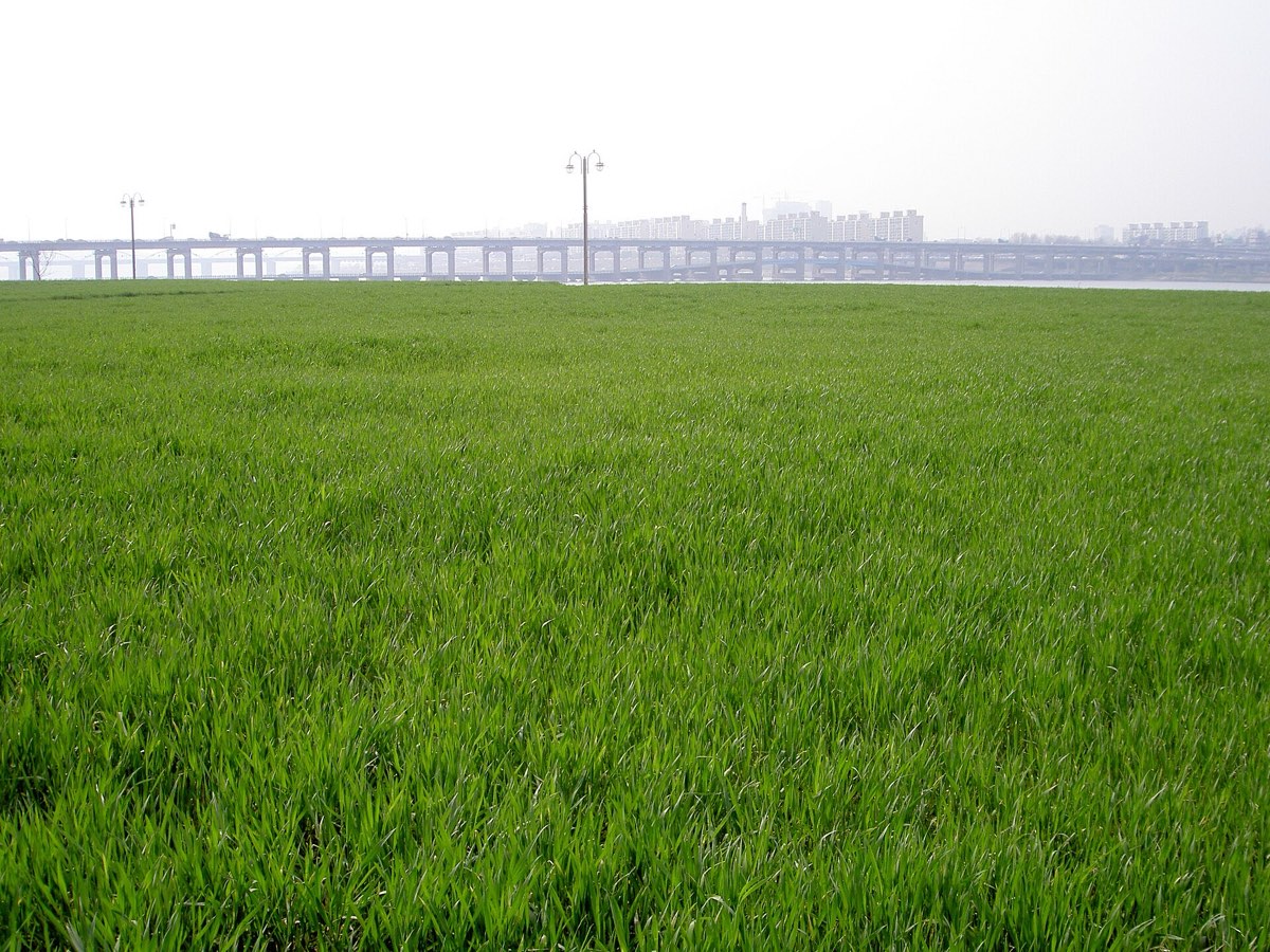 The Han River running through Seoul